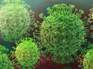 coronavirus